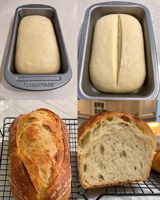 Thermomix Sandwich Bread