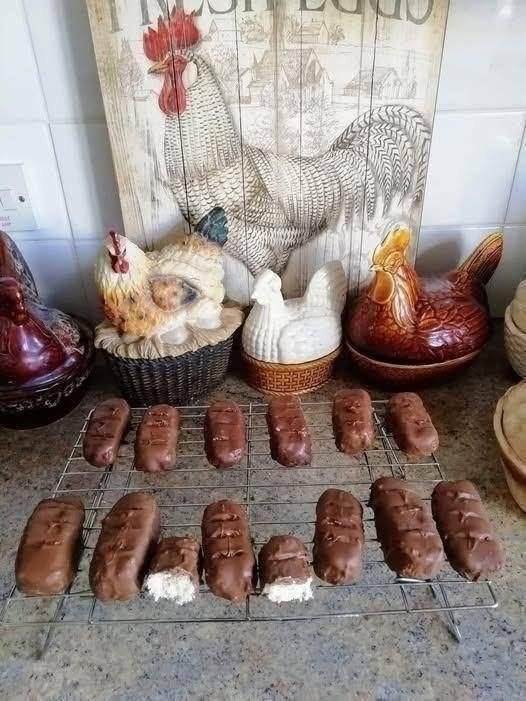 Chocolate Coconut Bars